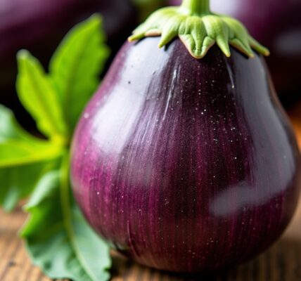 Comment conserver l'aubergine : conseils pour préserver sa texture et son goût